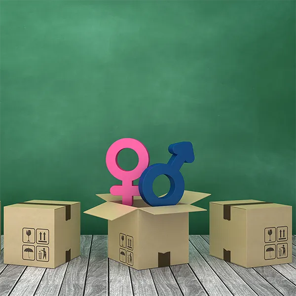 A series of four cardboard boxes. One is open and has gender symbols for male and female coming out of it.