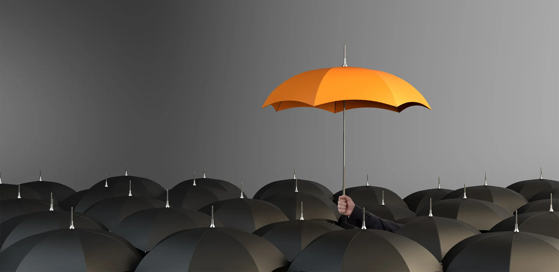 An orange umbrella held aloft over a group of black umbrellas.